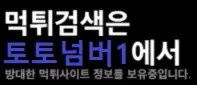 토토넘버1
